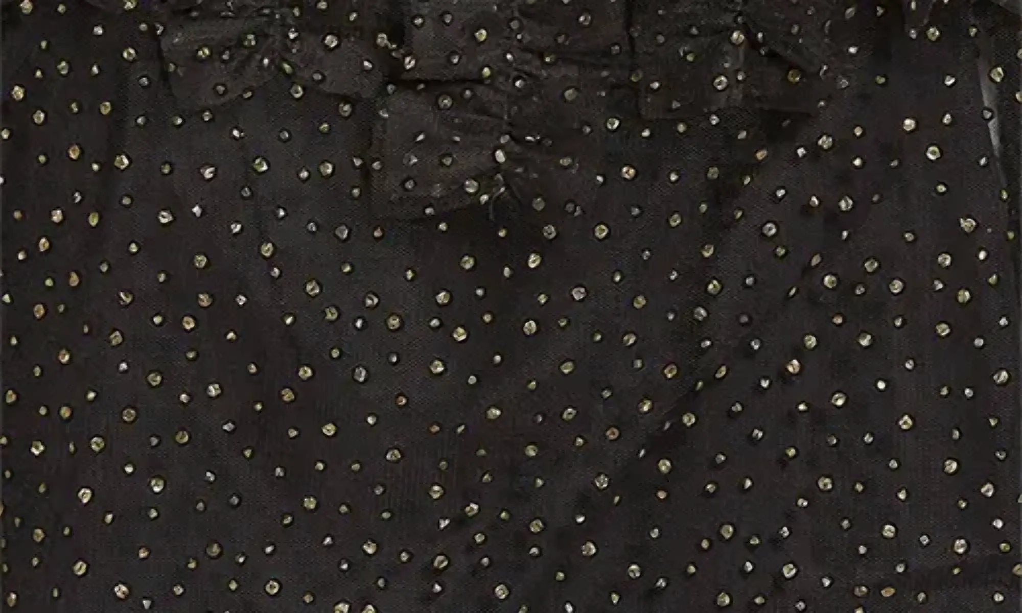 Akris Punto - Embellished Sheer Ruffle Long Sleeve Tulle Top In Black-gold